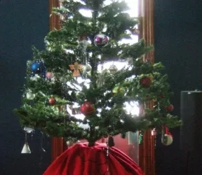 even my Christmas tree has a costume box